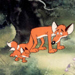 Vuk 1981