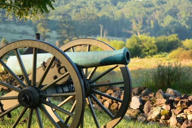 Történelmi ágyú a természet lágy ölén, angol csaták emlékére.