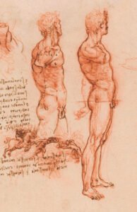 Leonardo da Vinci művészete: emberi figura tanulmány rajzok.