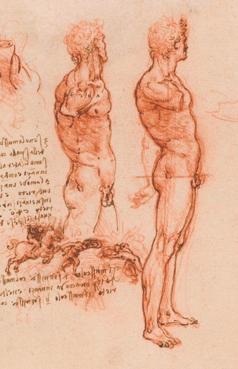 Leonardo da Vinci művészete: emberi figura tanulmány rajzok.