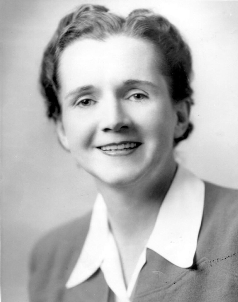 Rachel Carson, amerikai tengerbiológus és természetvédő arcképe.